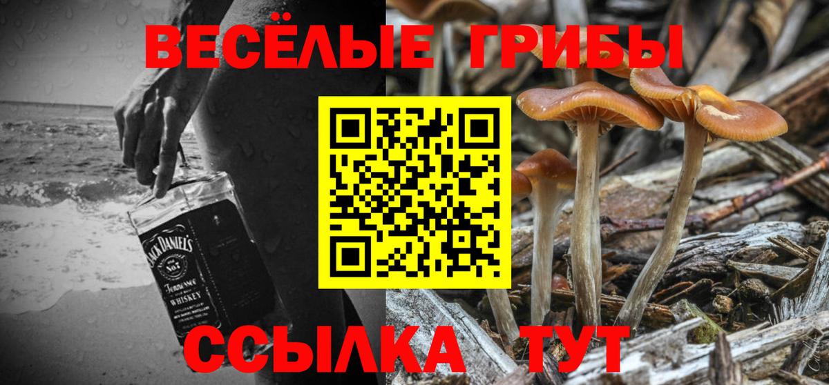  Кокаин Сочи